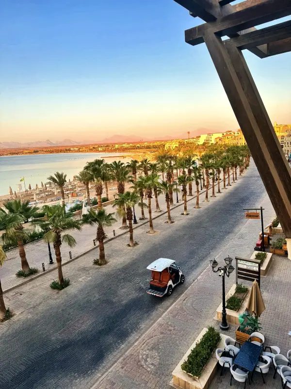 The palm promenade and the sea from a balcony