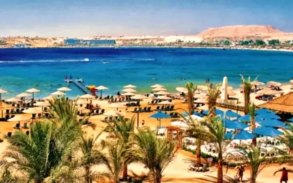Beach umbrellas, palms and the jetty across the bay