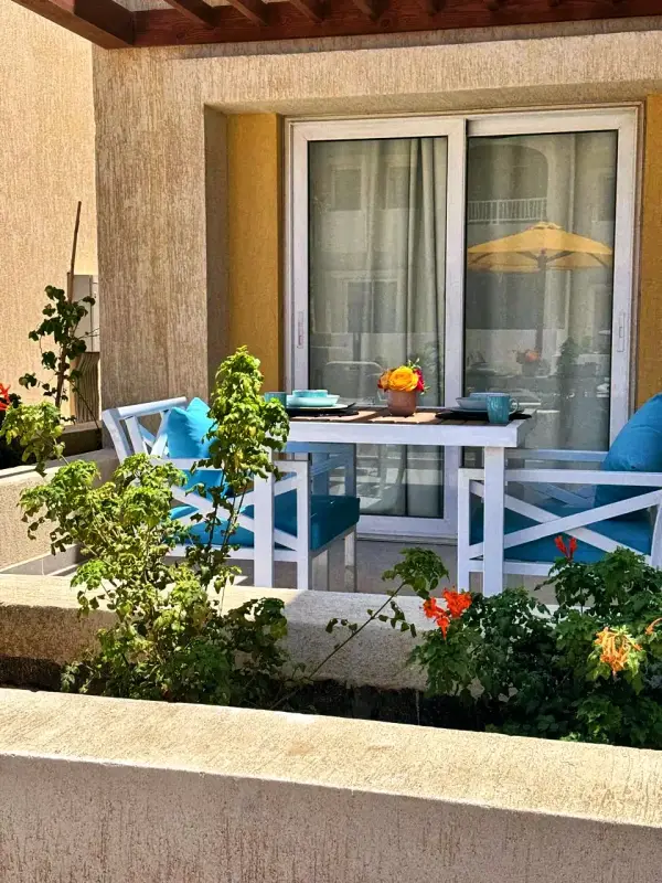 A planted terrace with table and chairs