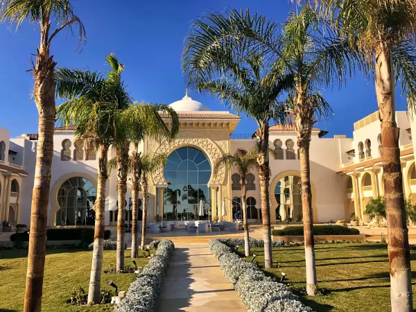 Palms along the walkway to the residences