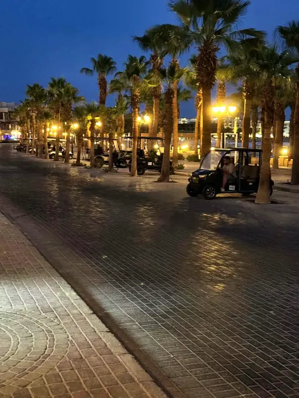 The palm promenade lit along the bay after dark
