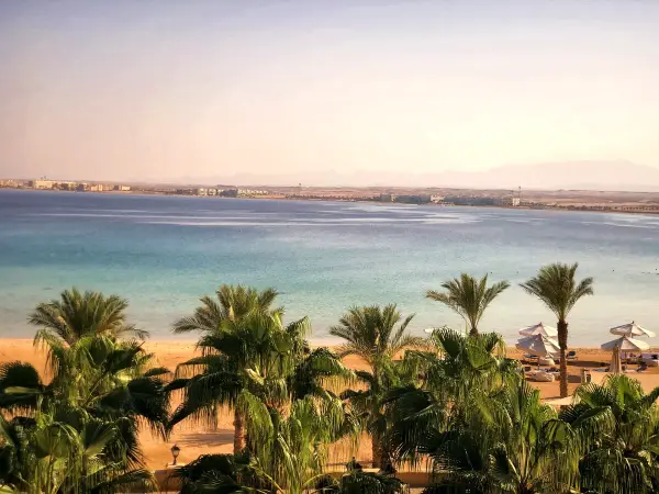 Turquoise water and palms along the shore